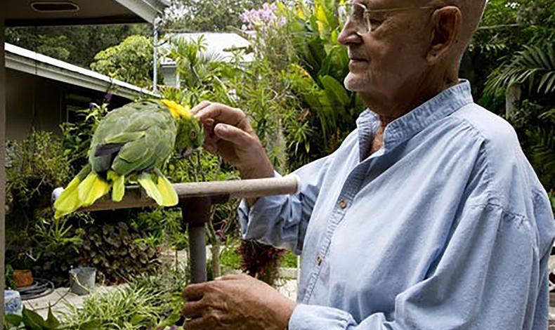 Man petting green parrot in garden